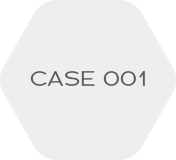 CASE 001