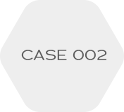 CASE 002
